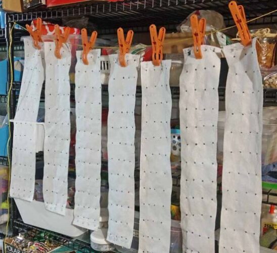 How to Make Seed Tape – Step-by-Step